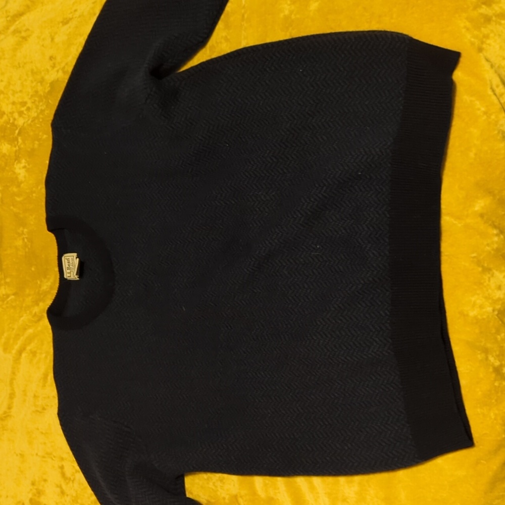 Euc ll bean sweater